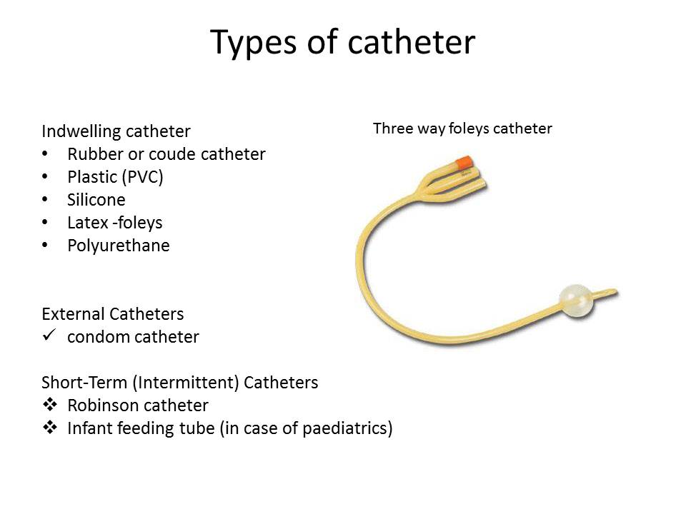 Coude Catheter Size Chart
