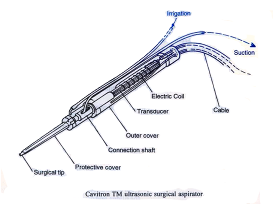 The Groin : Location and Importance in the Human Anatomy