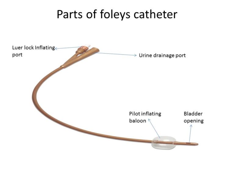 Foleys Catheter uses and Types Uses and different sizes