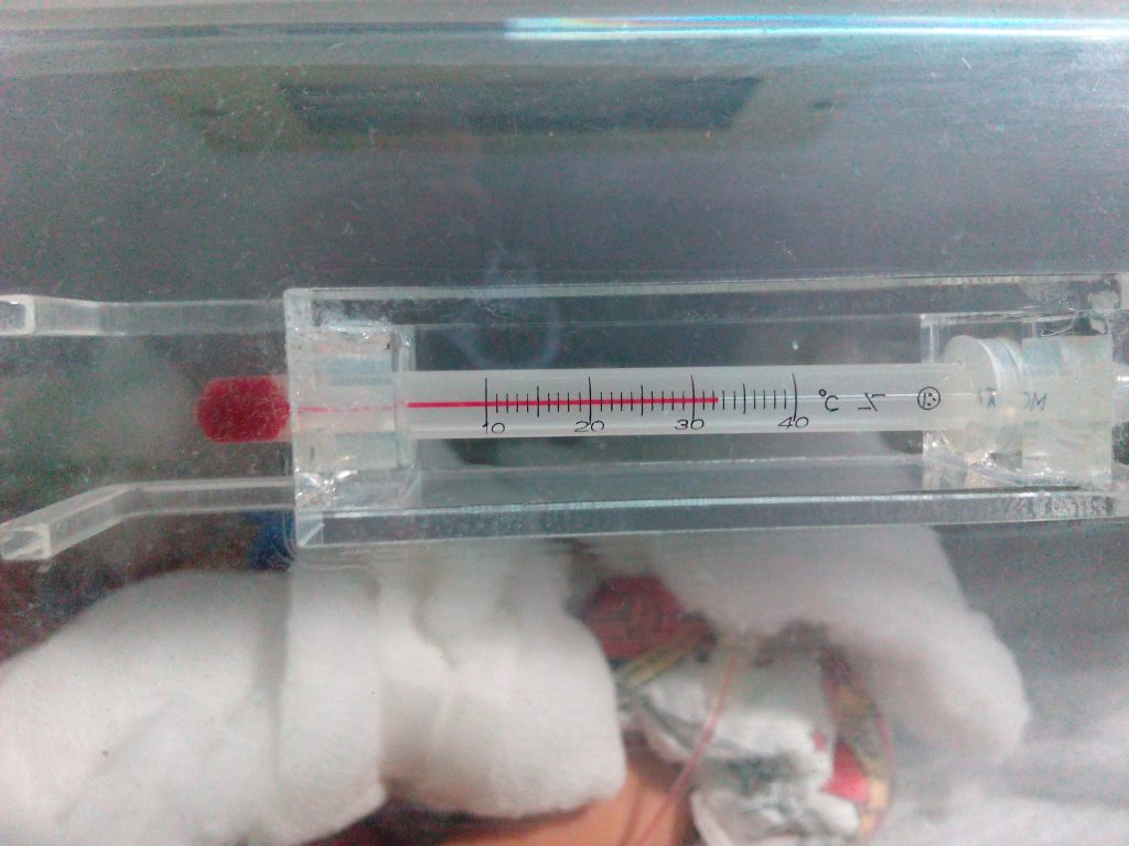 incubator temperature setting newborn
