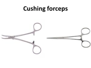 Cushing forceps