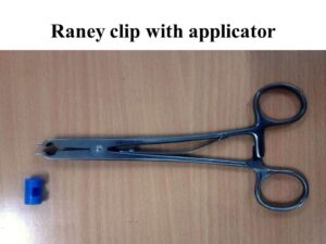 raney clip