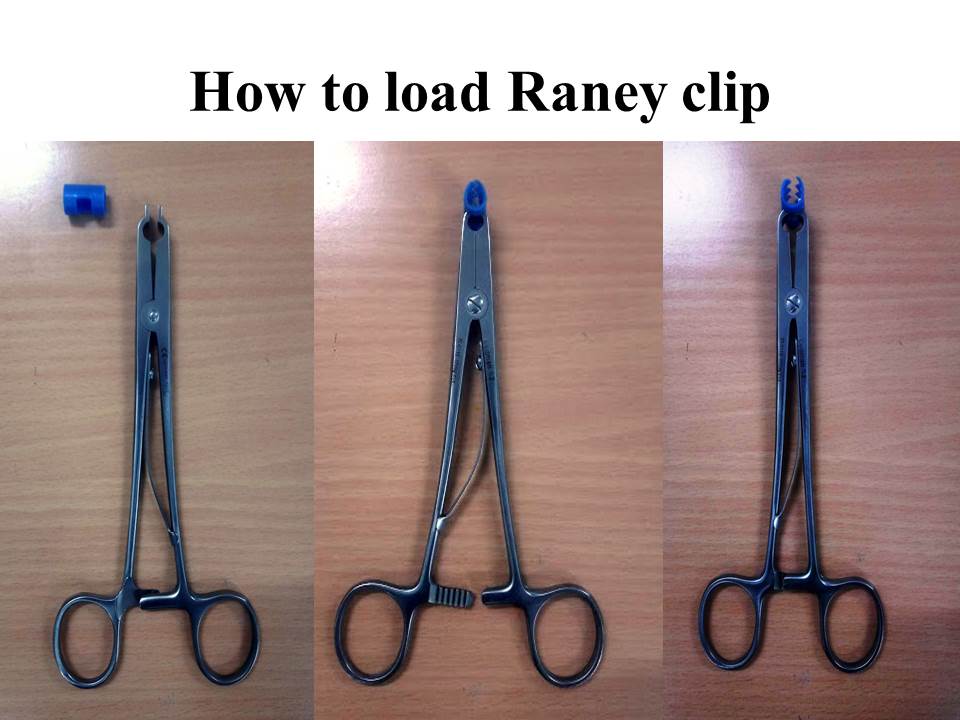 raney clip